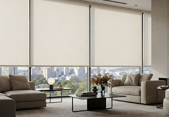 cortinas roller